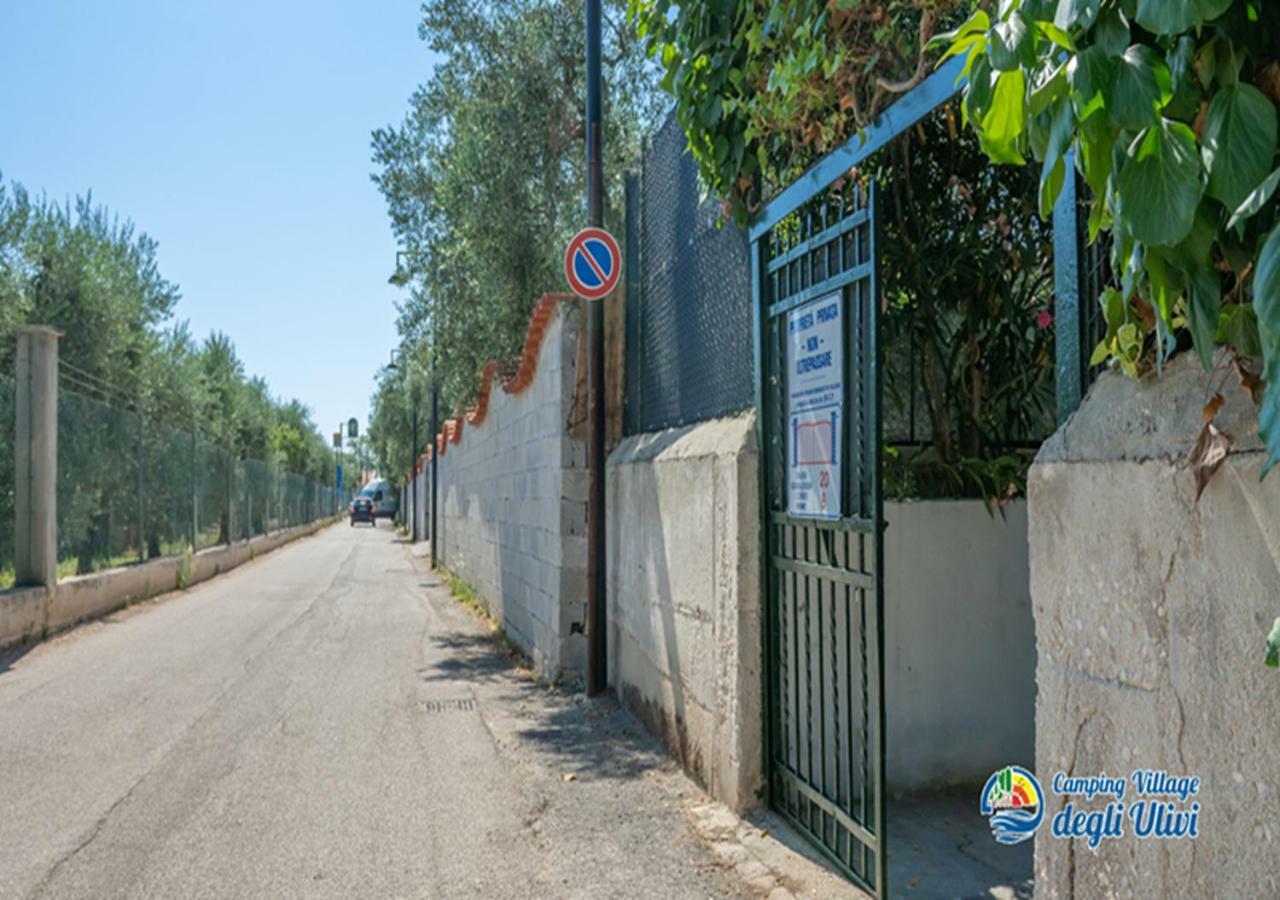 Camping Village Degli Ulivi Mattinata Exterior foto