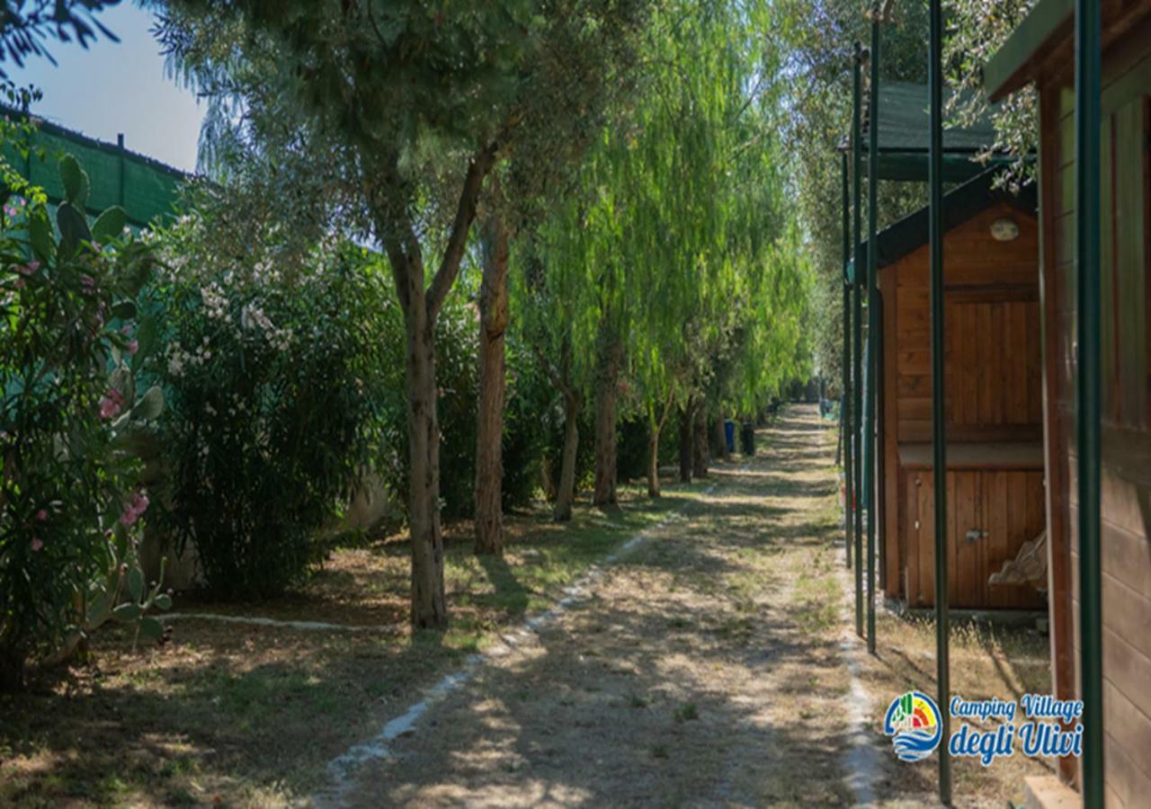 Camping Village Degli Ulivi Mattinata Exterior foto