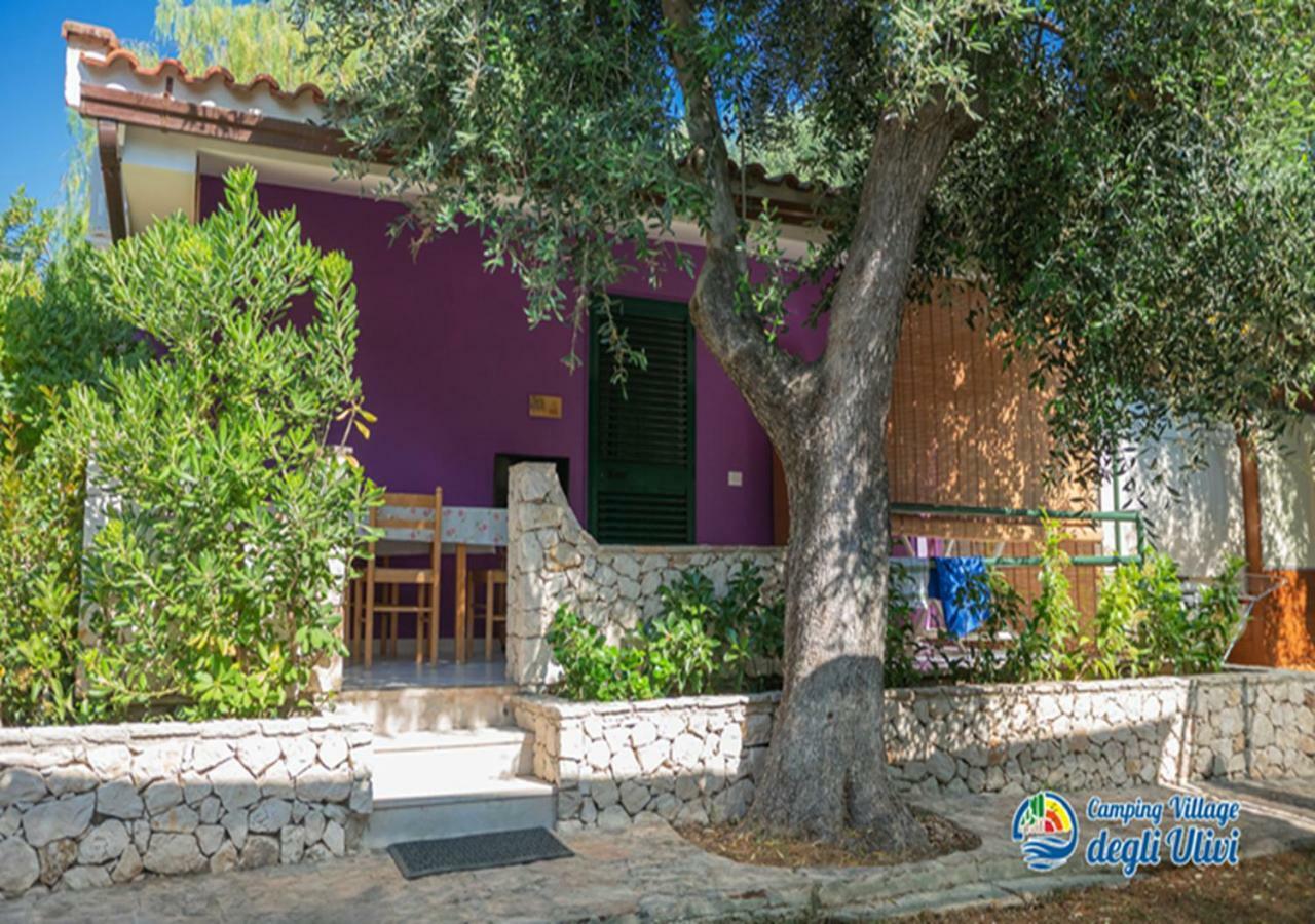 Camping Village Degli Ulivi Mattinata Exterior foto